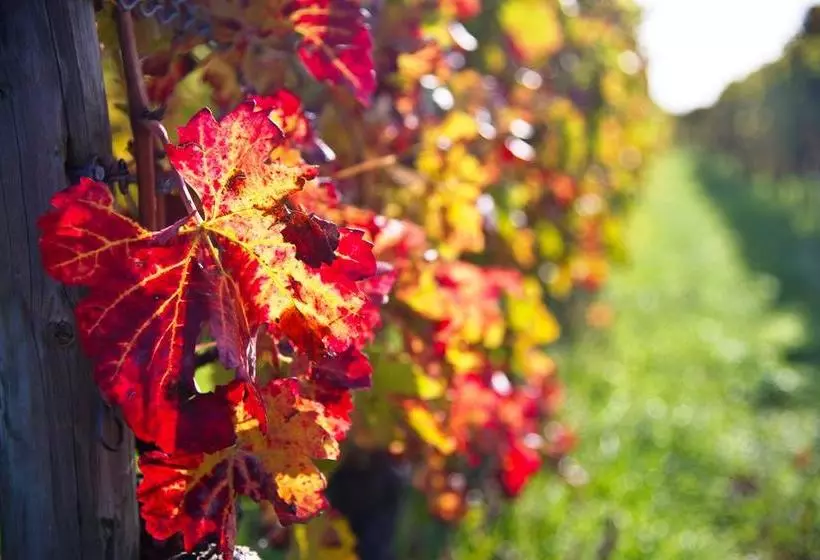 Hotel 1514 Boutique  Freinsheim