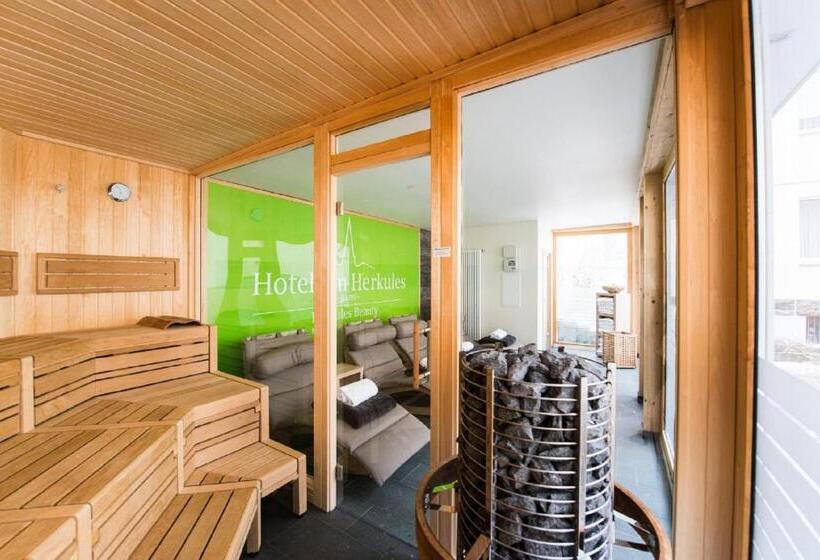 בית מלון כפרי Am Herkules