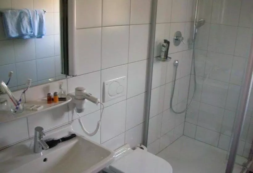 ホテル Gasthof Blume