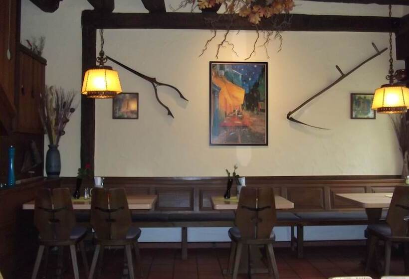 Hotel Gasthof Stadtschänke