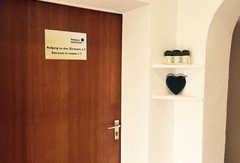Отель Pension Lindenhof