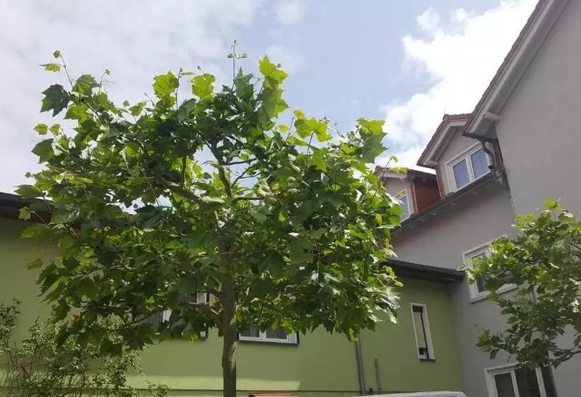 Hotelli Pension Zechliner Hof