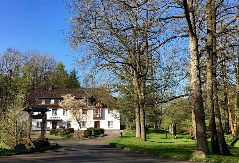 Hotelli Wintersmühle