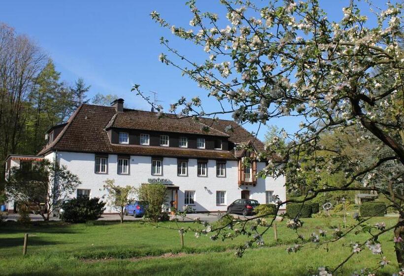 호텔 Wintersmühle