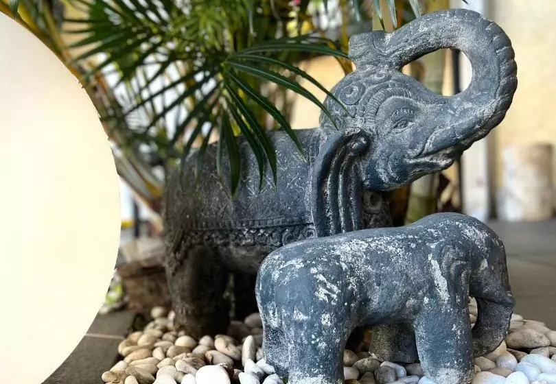 پانسیون Villa Ti Moon, Entre Deux, Piscine