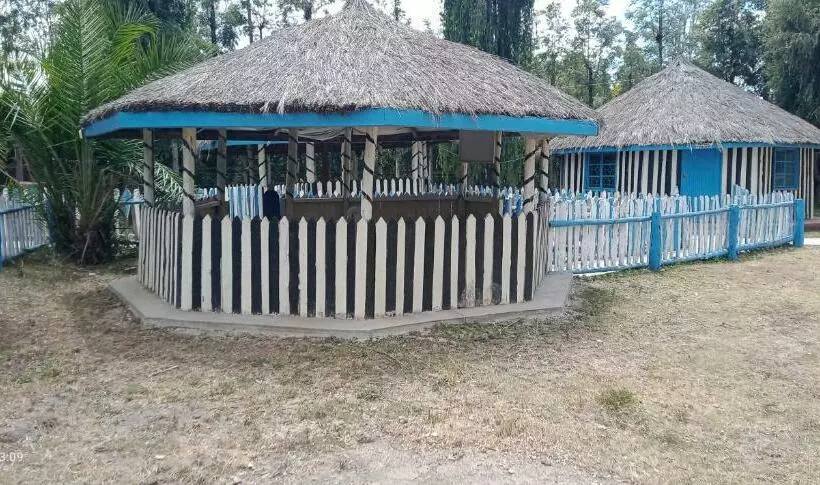 هتل کپسول Camp George Guest Lodge