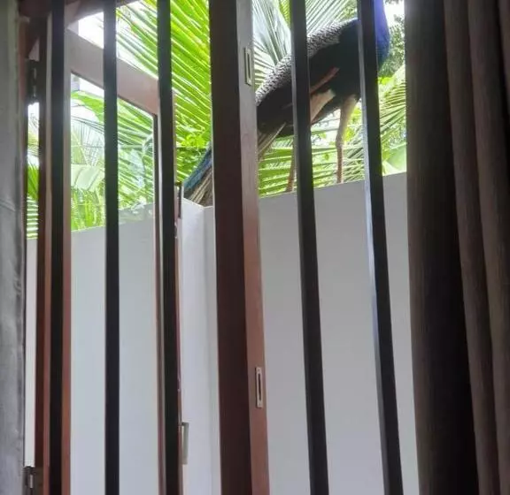 Majatalo Cocosurf House 2024