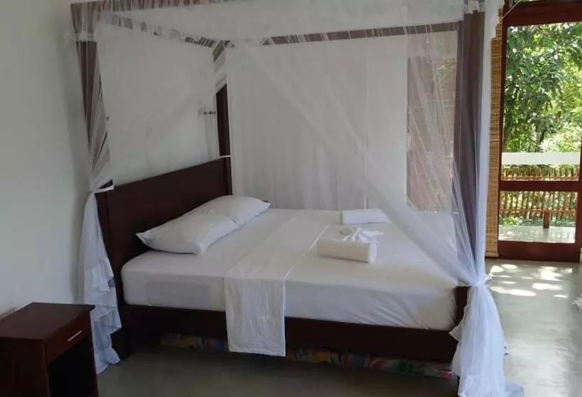 Majatalo Cocosurf House 2024