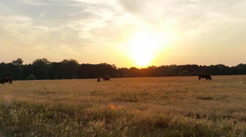 مبيت وإفطار Houterhoeve