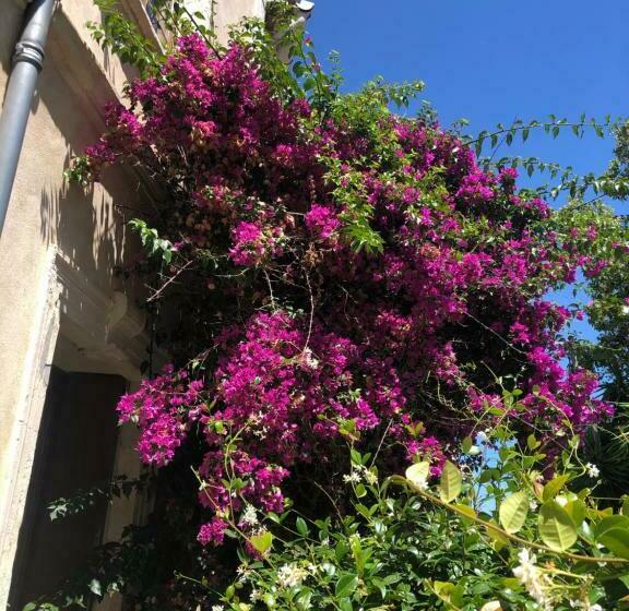 住宿加早餐 L îlot Des îles