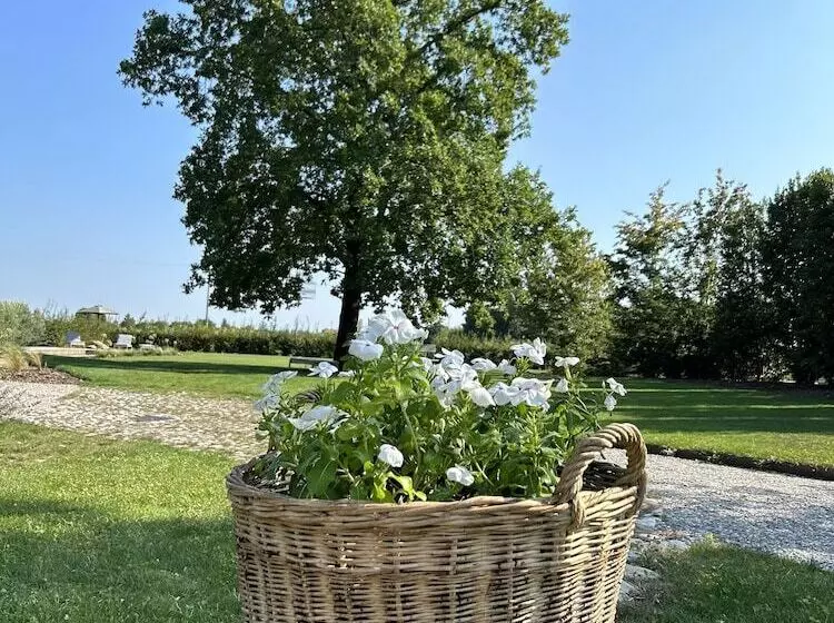 ベッドアンドブレックファースト Il Glicine   Natural Bnb