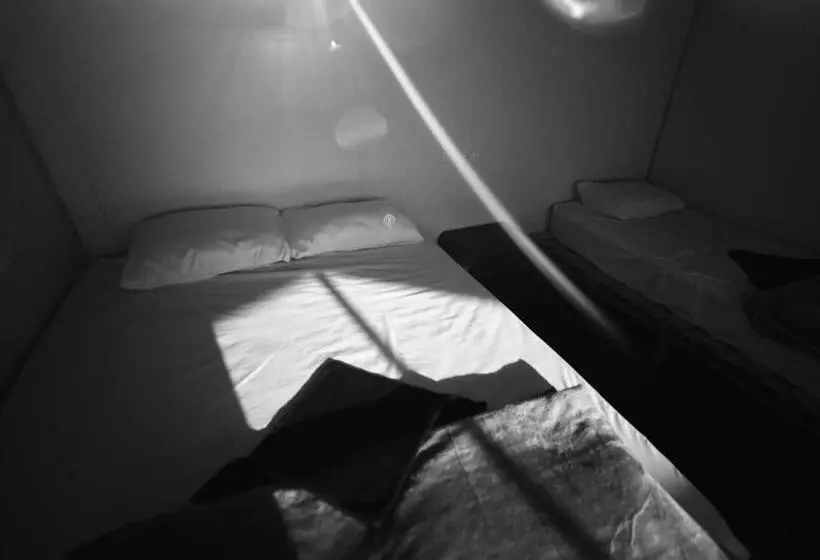 هتل New Droub Camp