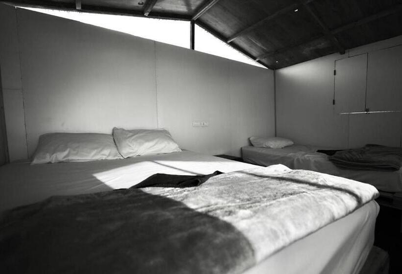 هتل New Droub Camp