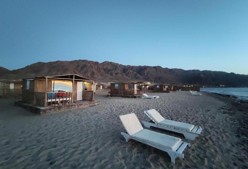 هتل New Droub Camp