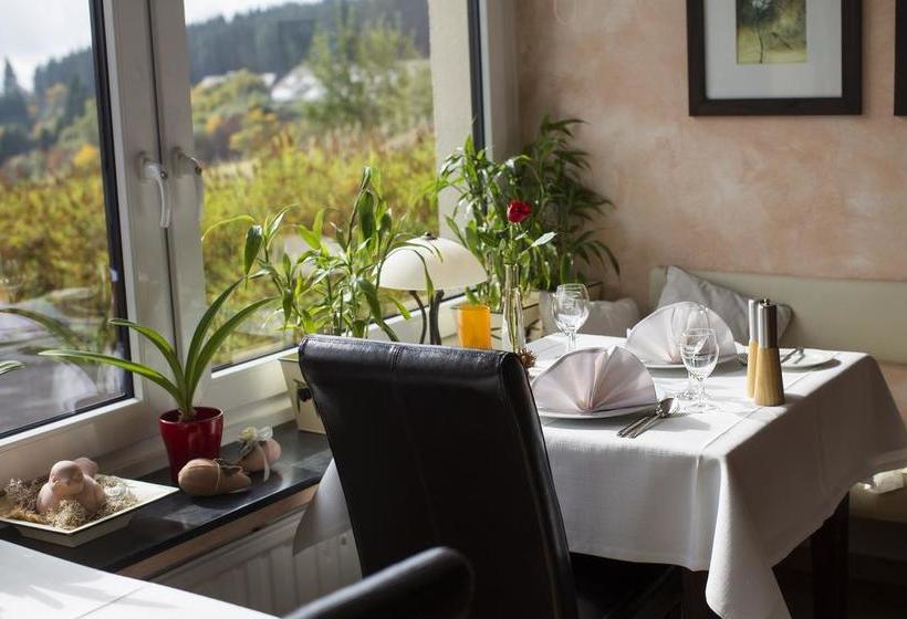 Отель Haus Astenberg