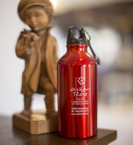 Отель Haus Astenberg