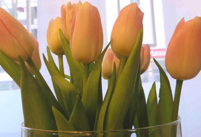 בית מלון כפרי Cityroom