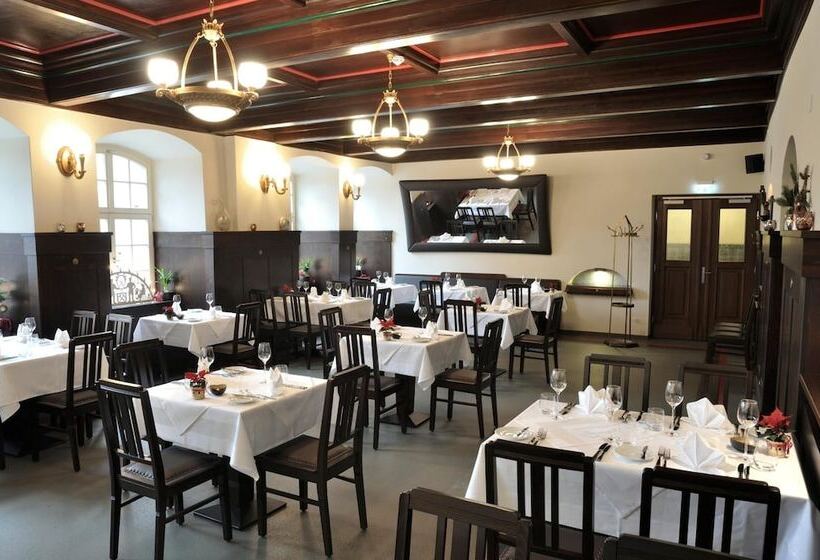 酒店 Gasthaus Alte Münze