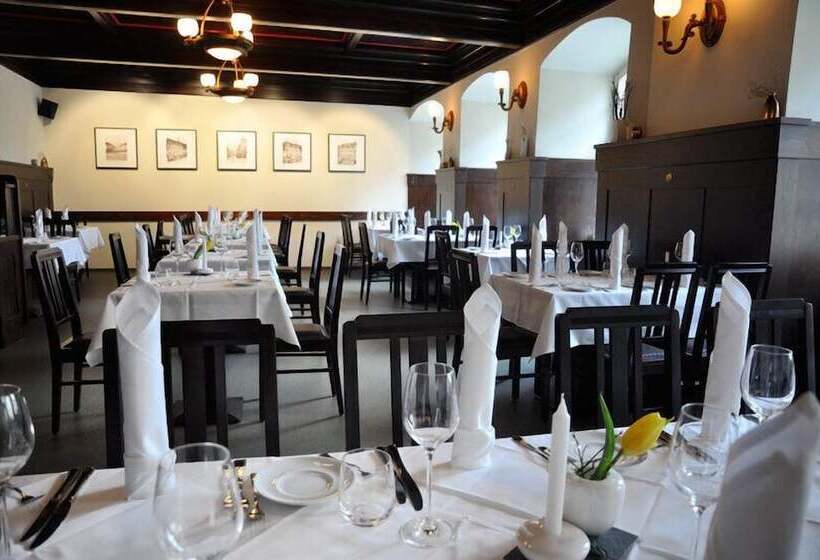 酒店 Gasthaus Alte Münze