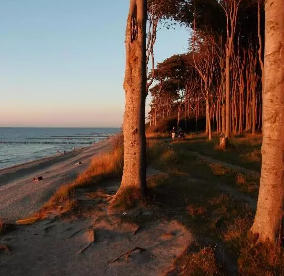 Ostsee Hotel Pension An Der Lindenallee