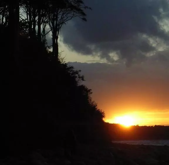 Ostsee Hotel Pension An Der Lindenallee