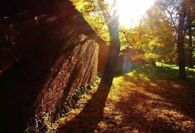 Ostsee Hotel Pension An Der Lindenallee
