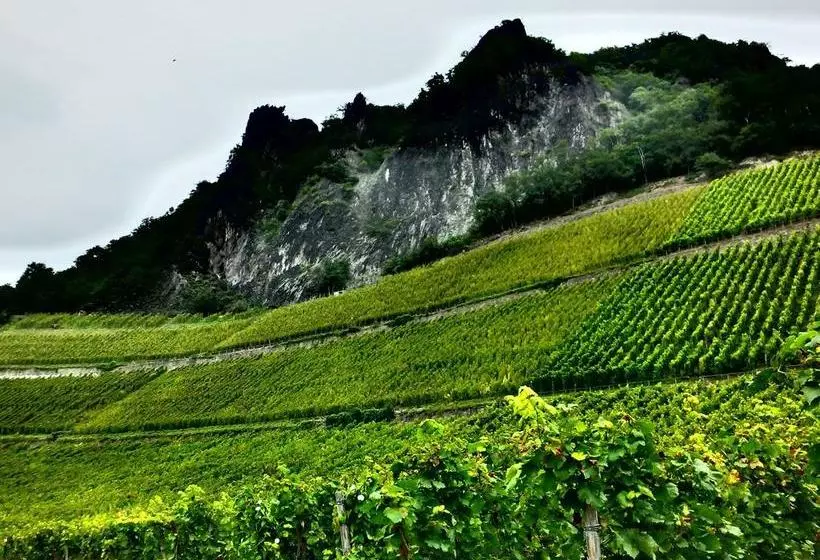 Weingut Und Hotel Haus Am Drachenloch