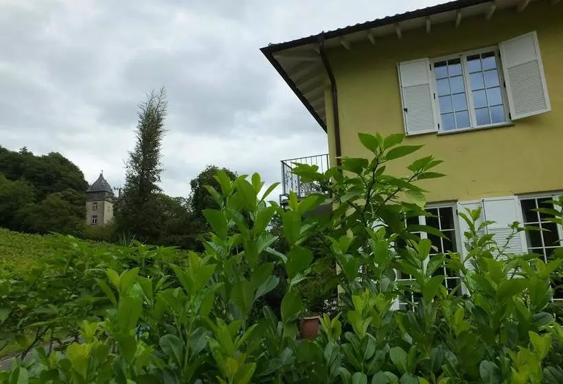 Weingut Und Hotel Haus Am Drachenloch