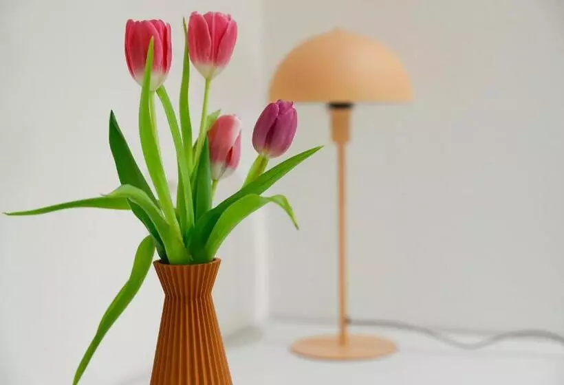 Boutique Hotel Piazza Grande