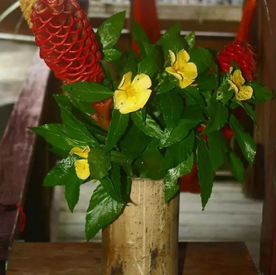 ペンション Posada Kevelin