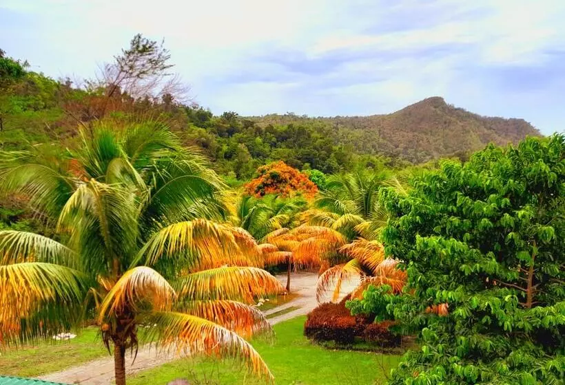 Pinard S Mountain Resort   Cottage 5