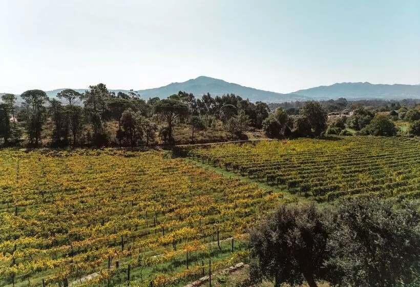 تختخواب و صبحانه Quinta Do Convento De Val´ Pereiras