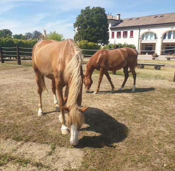 مبيت وإفطار Ranch Borgo Bella Vita