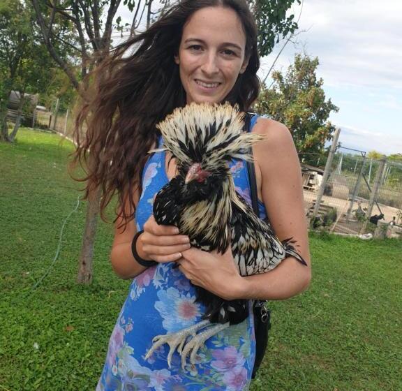 مبيت وإفطار Ranch Borgo Bella Vita