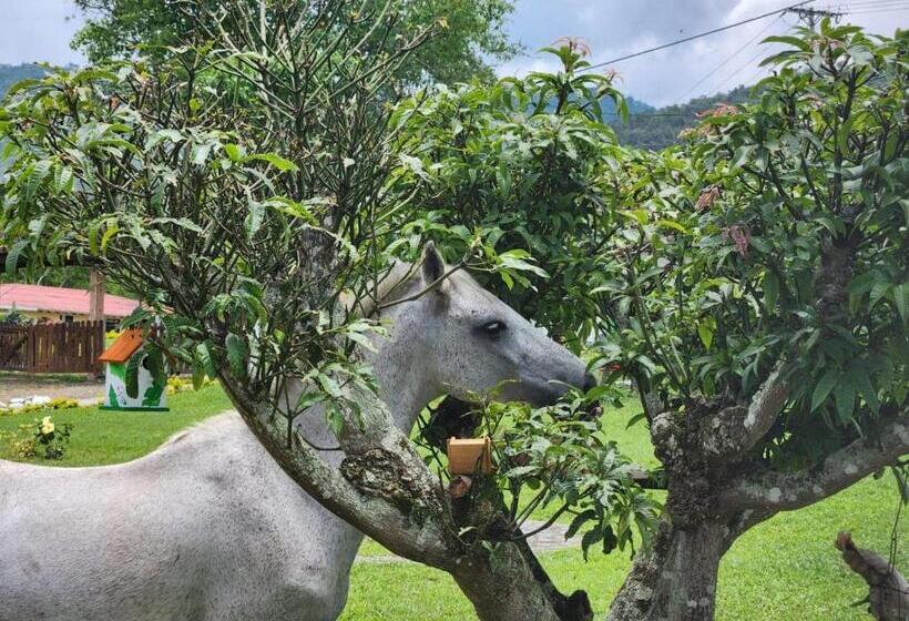 Kentia Eco Hotel Buga