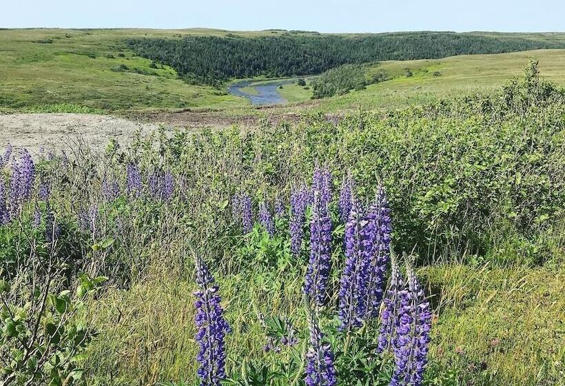 The Keeper S Kitchen B&b