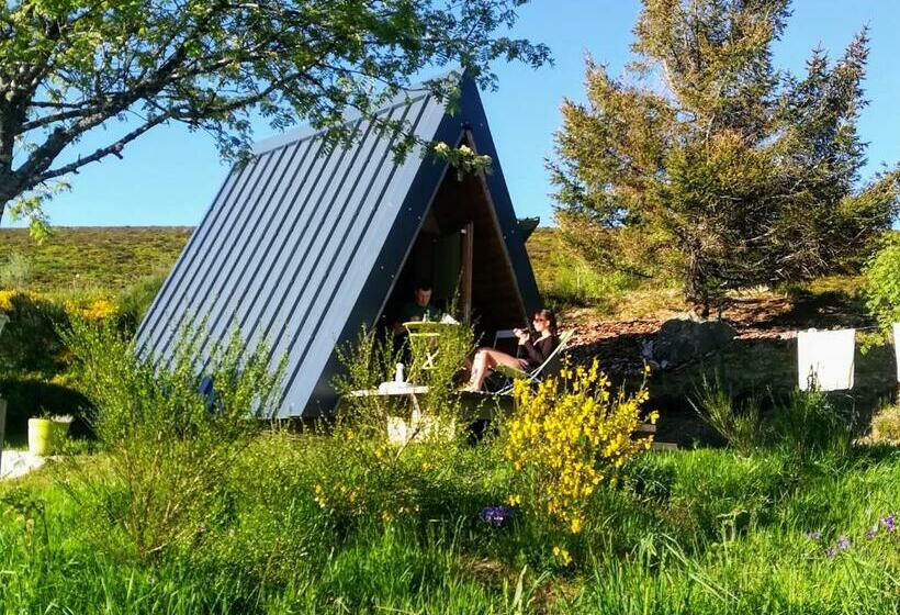 旅馆 Le Chalet Des Gentianes