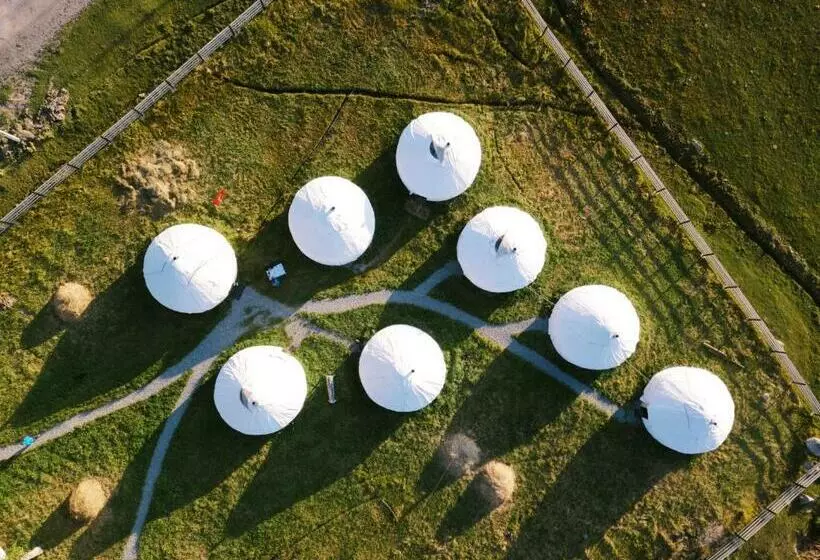 هاستل Jyrgalan Yurt Lodge