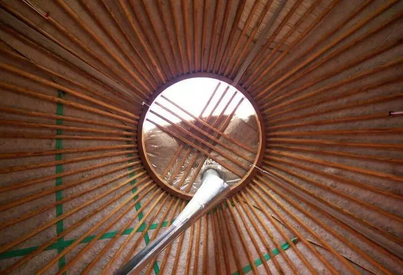 هاستل Jyrgalan Yurt Lodge