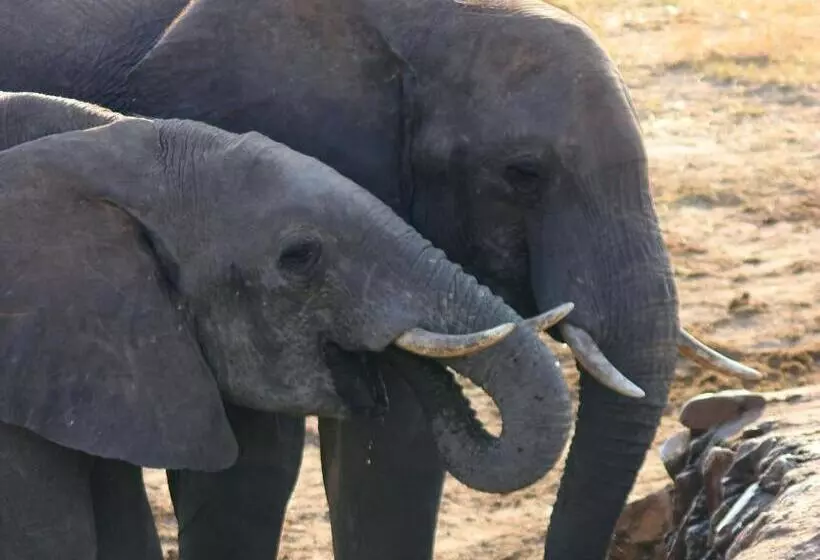 Gwango Heritage Resort