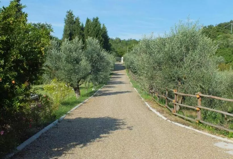 ホテル Agriturismo Ai Mandrioli