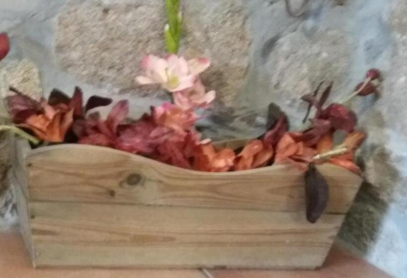 ホテル Casa Serra Do Lagar