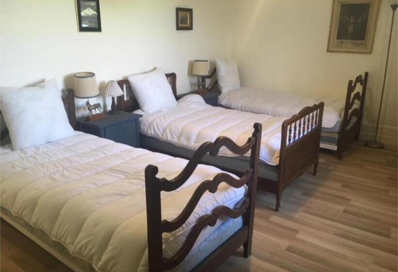 بنسيون Le Gros Chigy Château