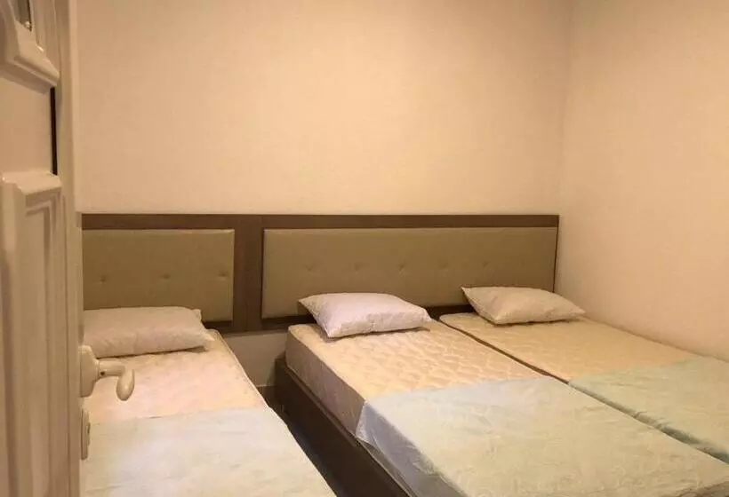 Vip Apartmani Canj