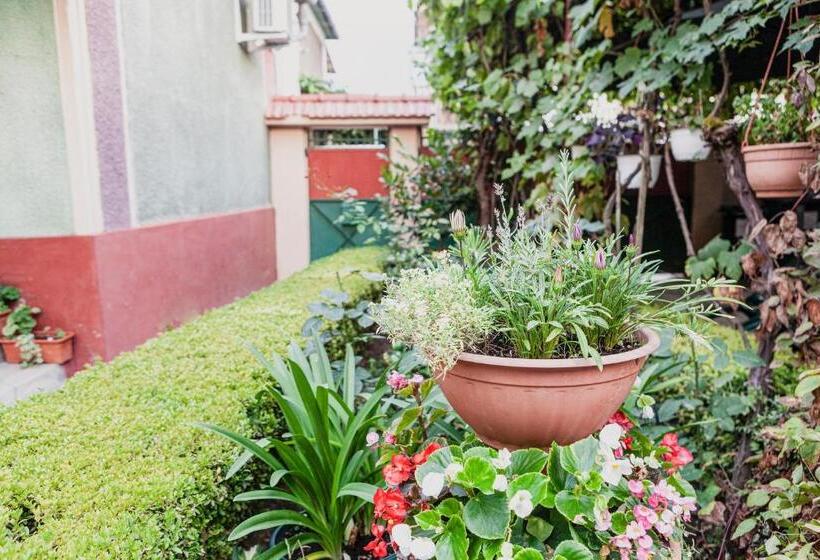 پانسیون Felix 88