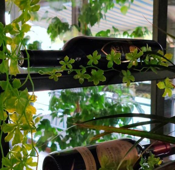 هتل Cruiser Restoran