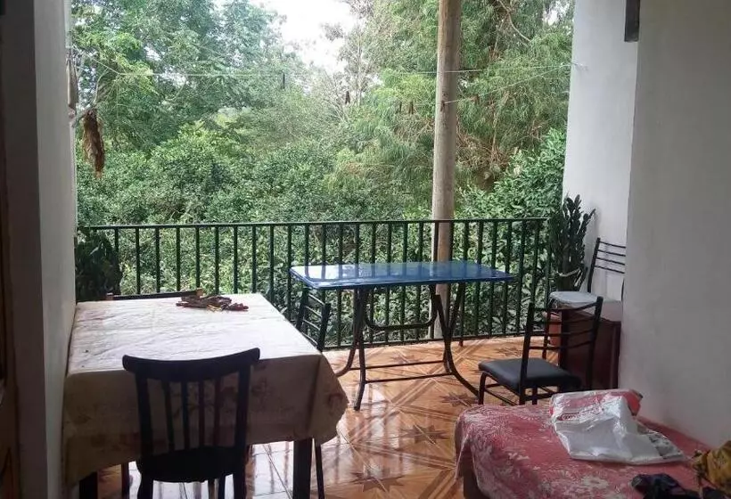 پانسیون Guest House Pirvelwodebuli