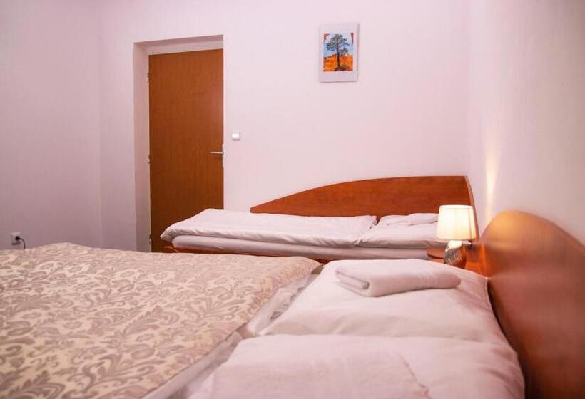 פנסיון Penzion Axa