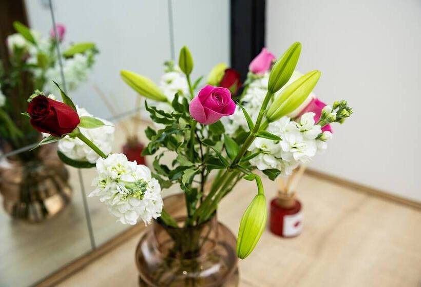 فندق Cambridge House