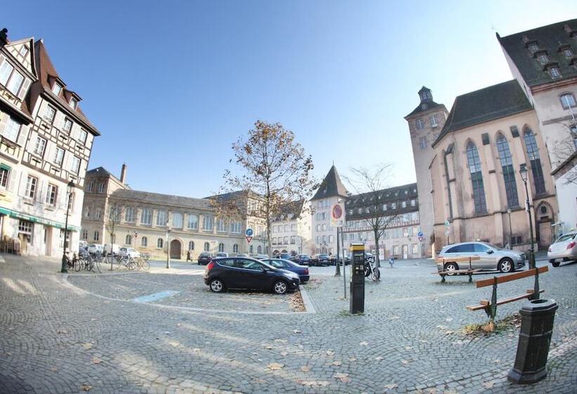 酒店 Logis Hôtel Ettenheim